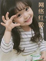 网红直播间歌曲大全,旋律与热度的完美融合