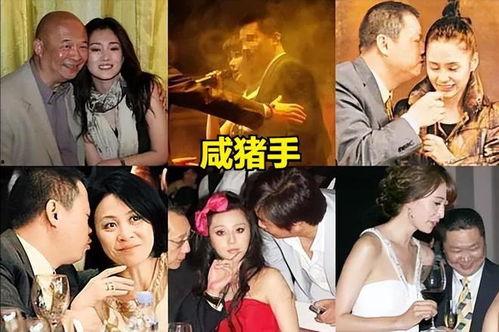 娱乐圈  乱象,揭开明星背后的真相